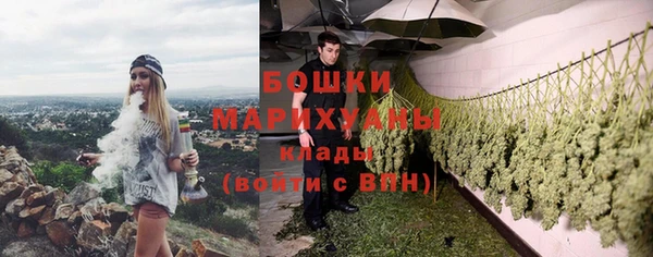 молекула духа Беломорск