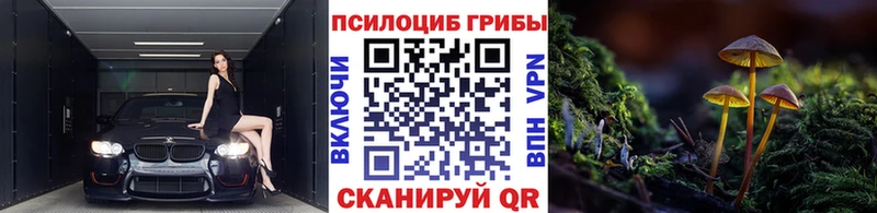 Галлюциногенные грибы Psilocybe  Минеральные Воды 